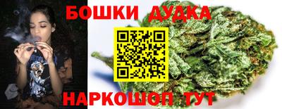 гашик Лесосибирск