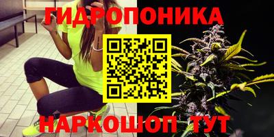 гашик Лесосибирск