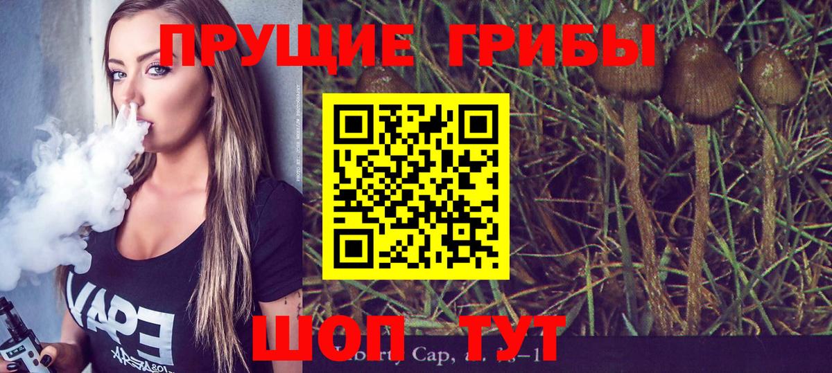 Псилоцибиновые грибы GOLDEN TEACHER Ессентуки